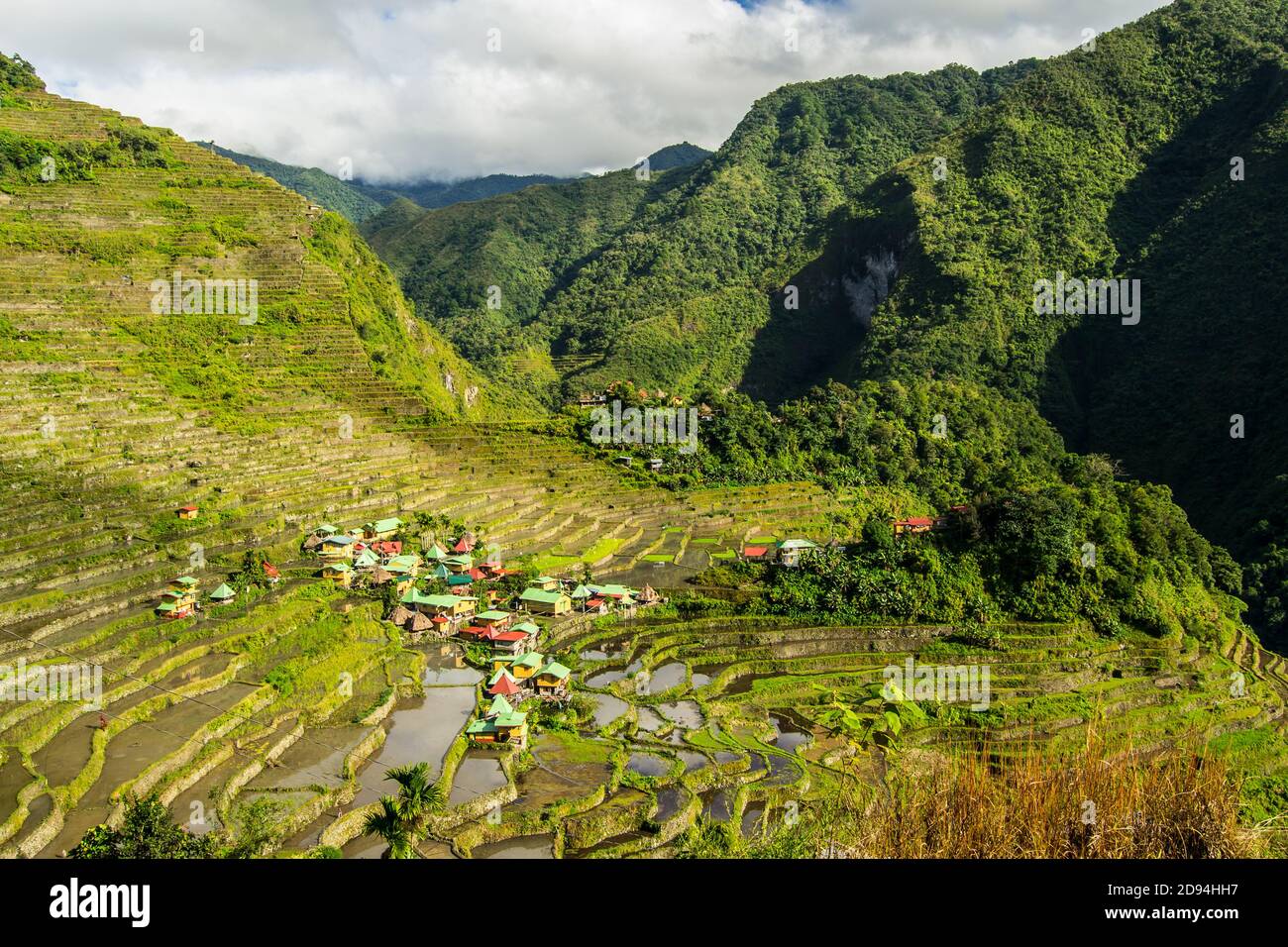 High angle shot of the beautiful Batad Rice Terraces in Luzon ...