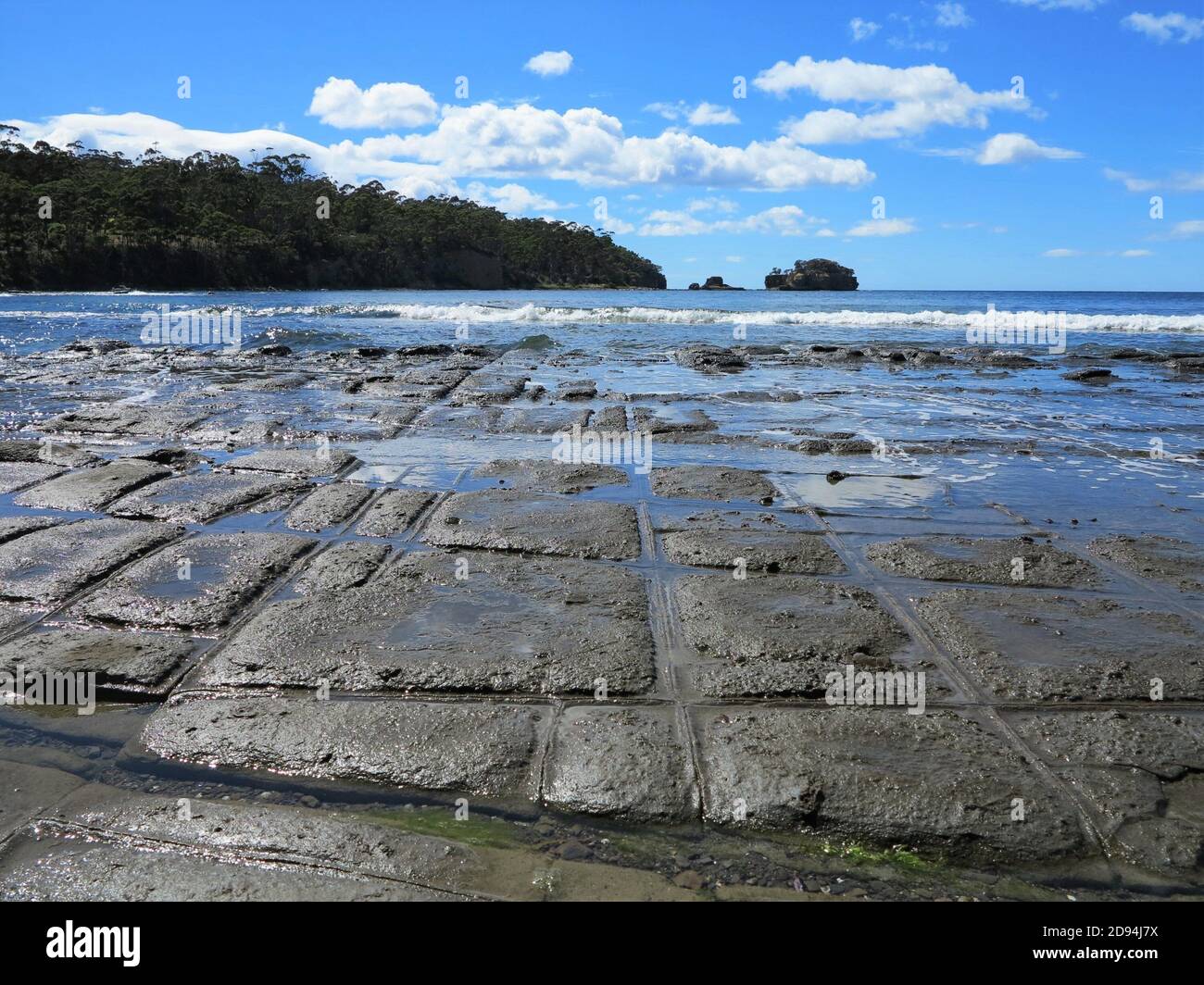 Tessellated Pavement, Eaglehawk Neck, in Tasmania, Australia. Stock Photo