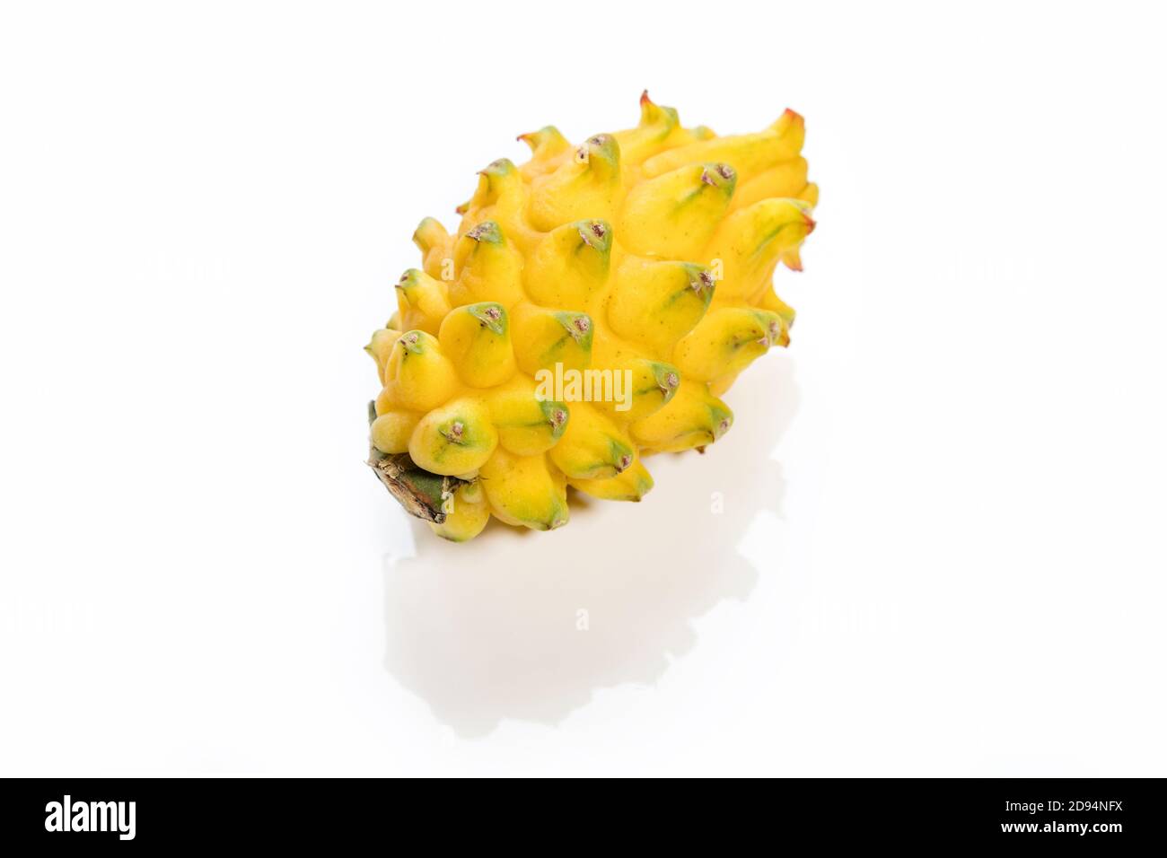 Yellow Kirin fruit Pitahaya with white background Stock Photo