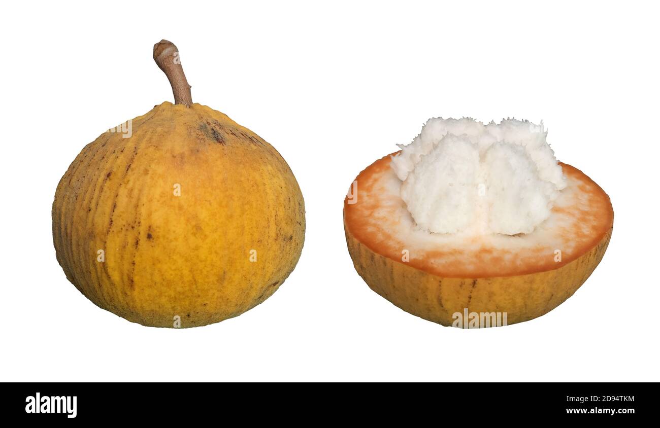 Santol fruit sale