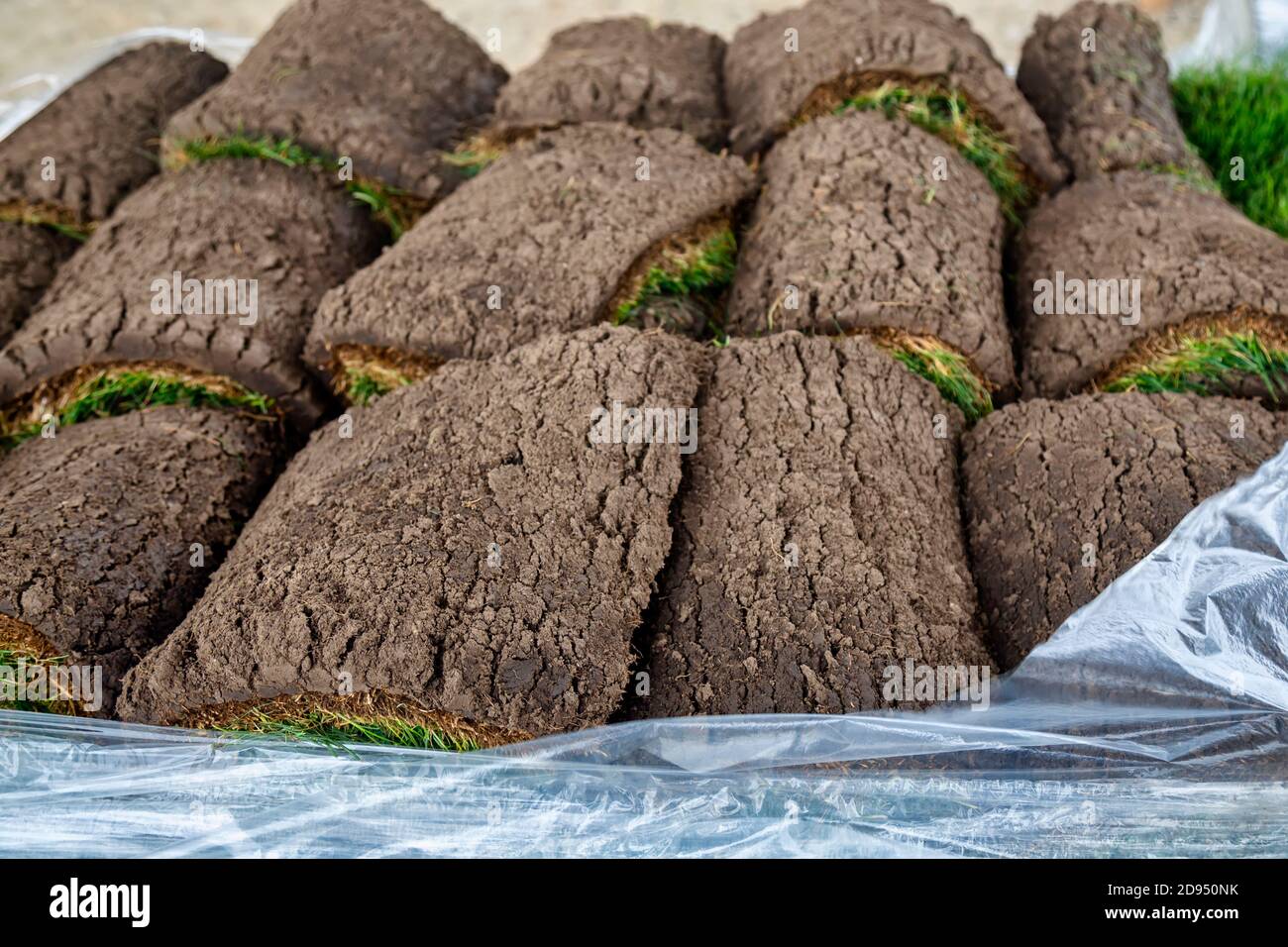 Rolls of sod on pallet for new lawn. Selective focus Stock Photo Alamy