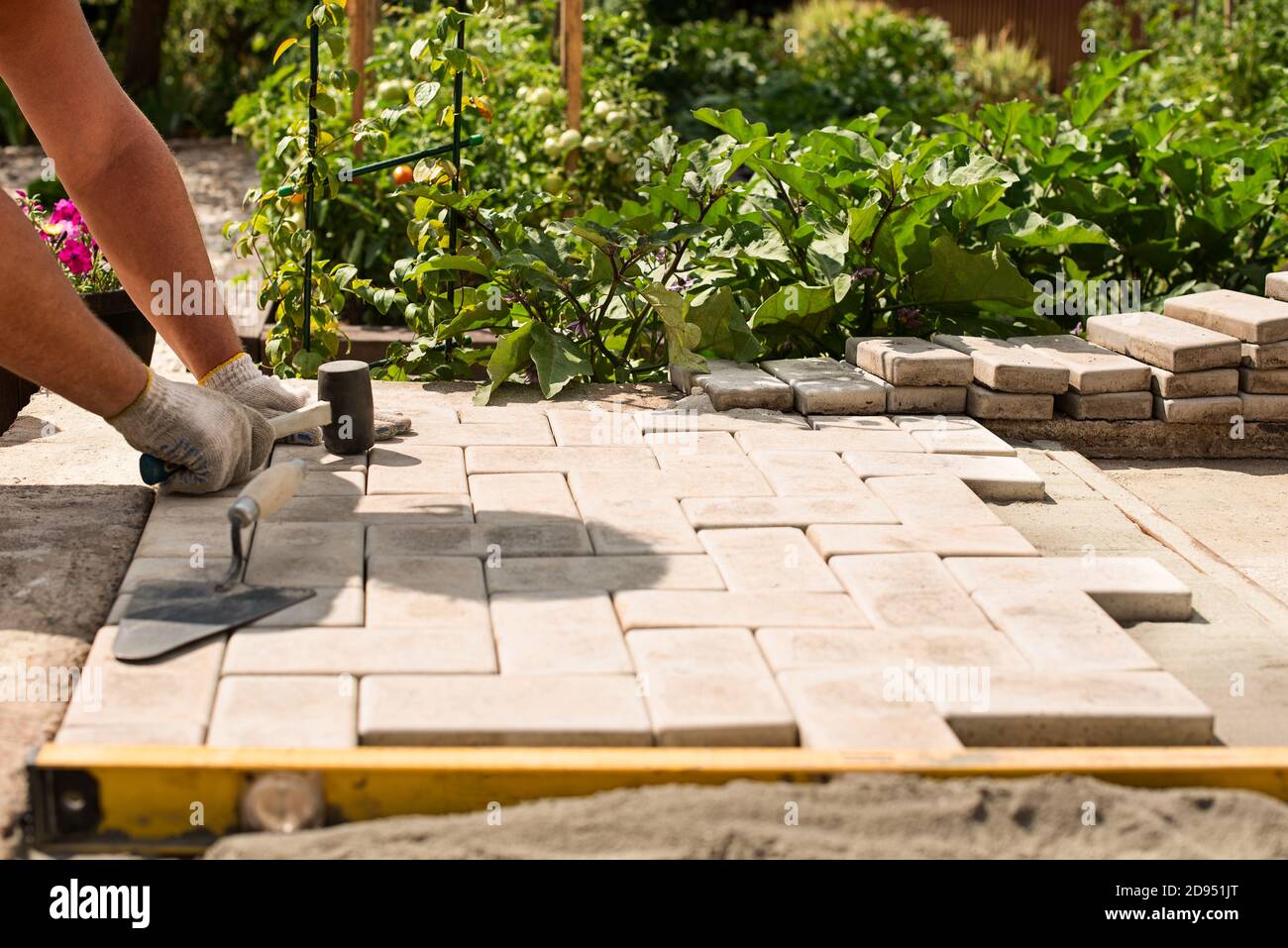 The master lays paving stones in layers. Garden brick pathway paving