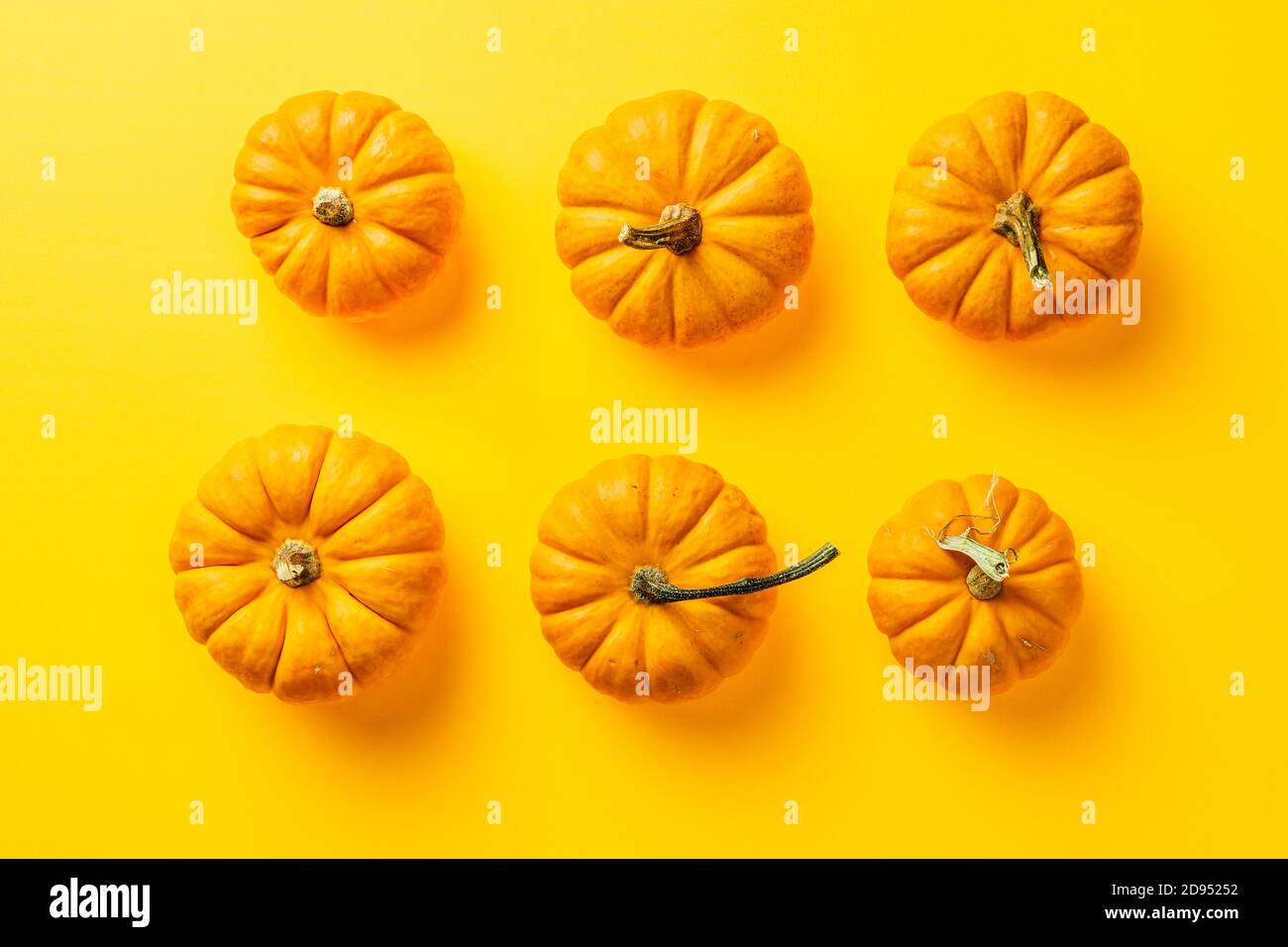 group of orange pumpkins isolated over the yellow background top view ...