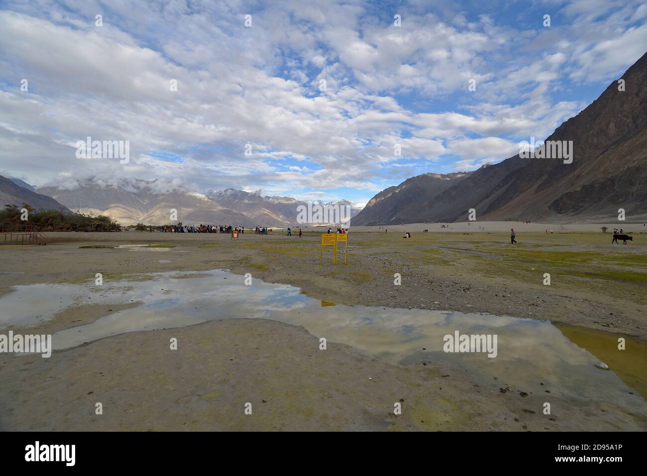 Scenic view of the Nubra Valley in late summer, with tourists setting out on evening camel safaris in the distant background Stock Photo