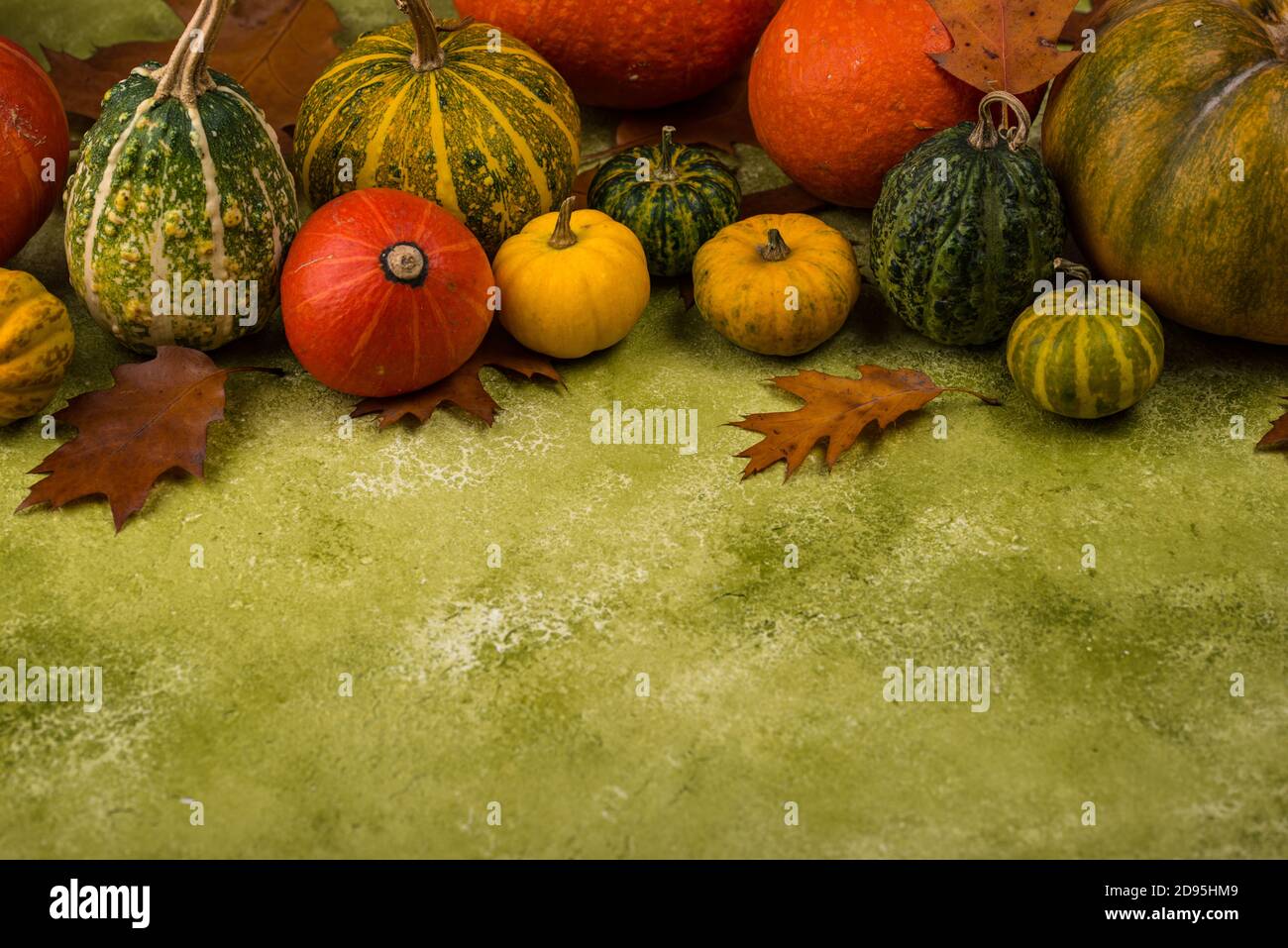 Various decorative pumpkins on green background Stock Photo