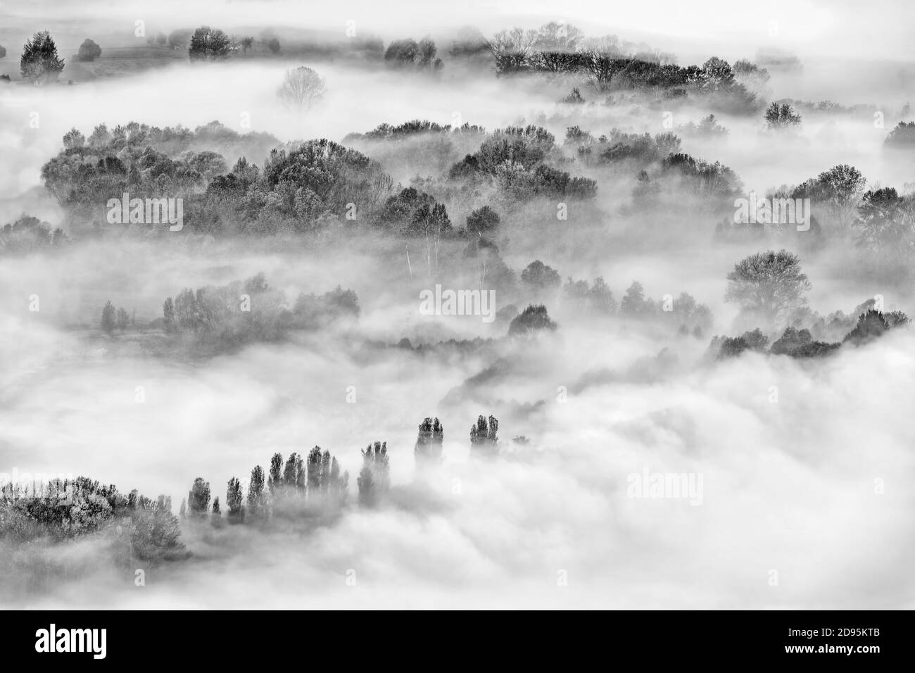 Black forest aerial Black and White Stock Photos & Images - Alamy
