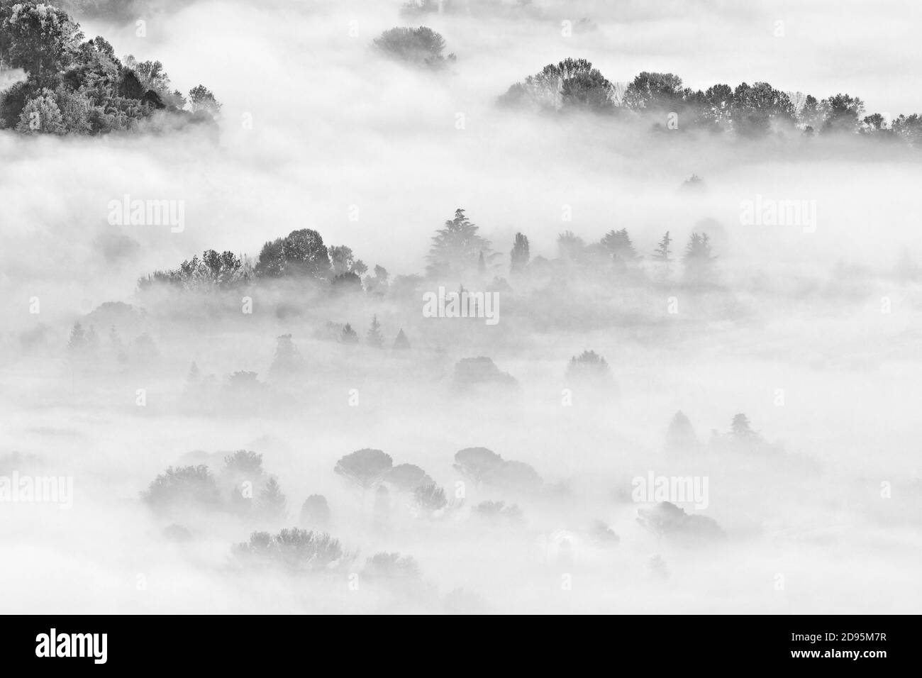 Landscape with fog, black and white photography Stock Photo - Alamy