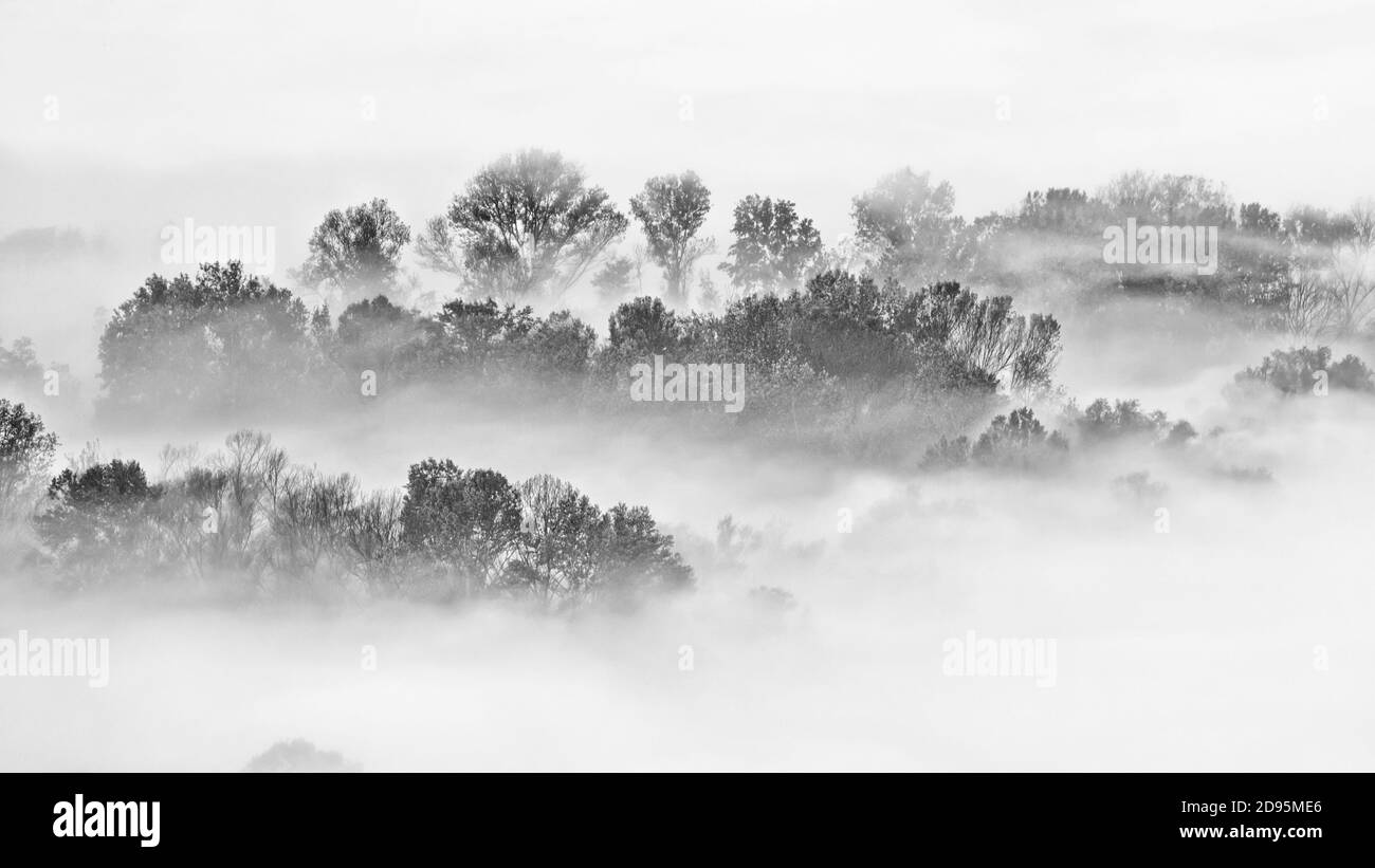 Landscape with fog, black and white photography Stock Photo - Alamy