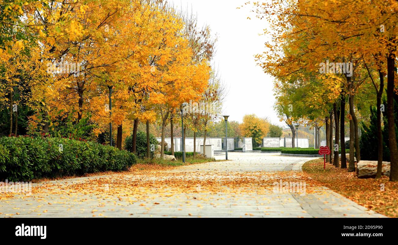 Caoxian county hires stock photography and images Alamy