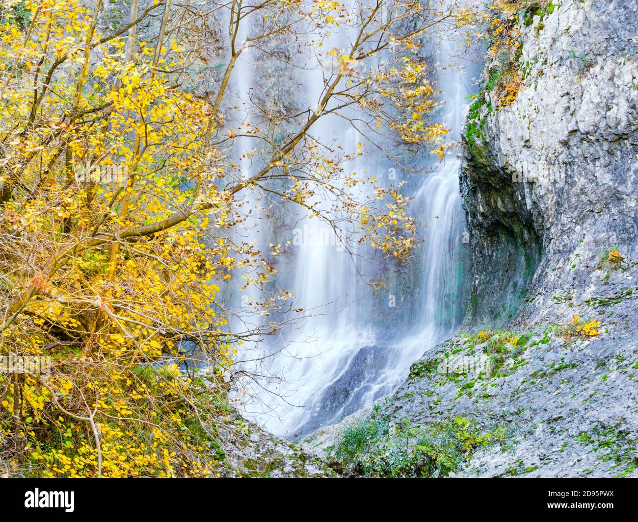 Benkovski slap waterfall near Pican in Croatia Europe Yellow-Green leaves vegetation foliage Stock Photo