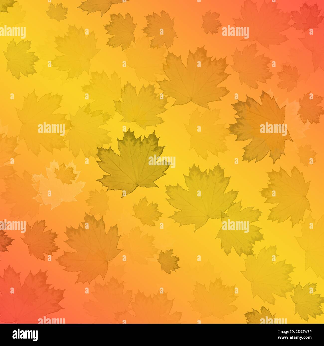 Colorful autumn background with blurred maple leaves. Can be used as a ...