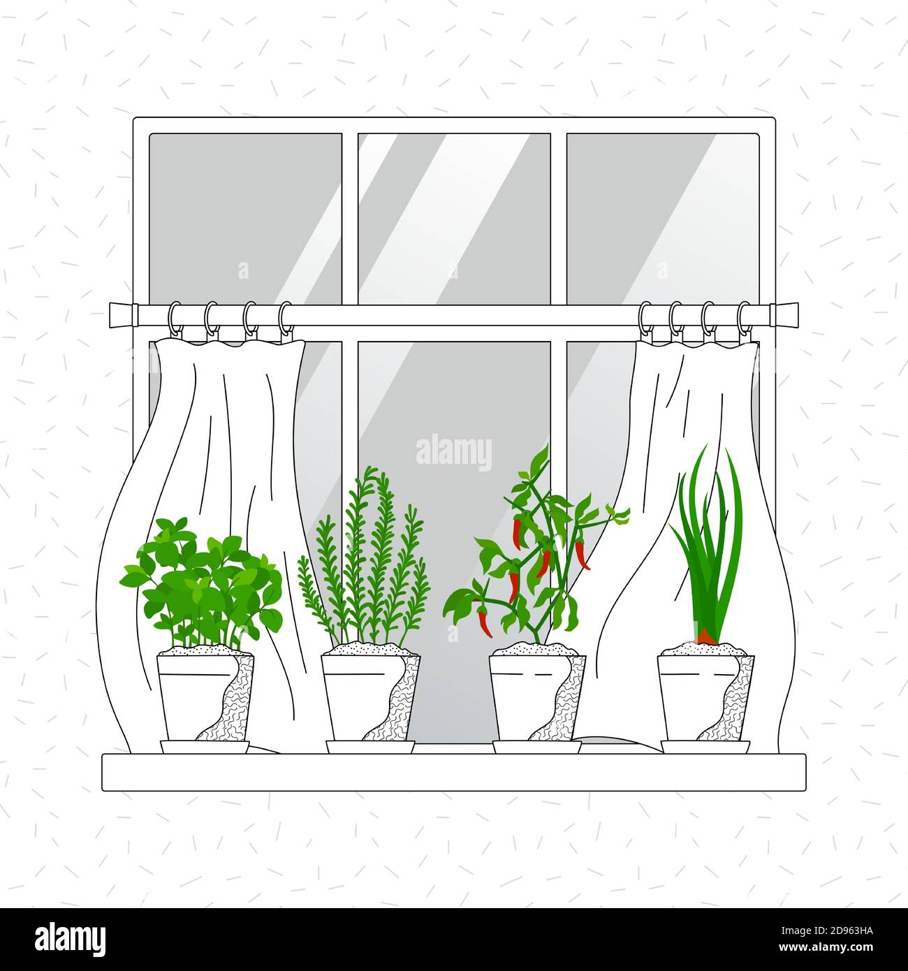 Mini herb garden on windowsill, waving curtains. Indoor garden horticulture. Growth rosemary, basil, onion and chilli in home - vector illustration Stock Vector