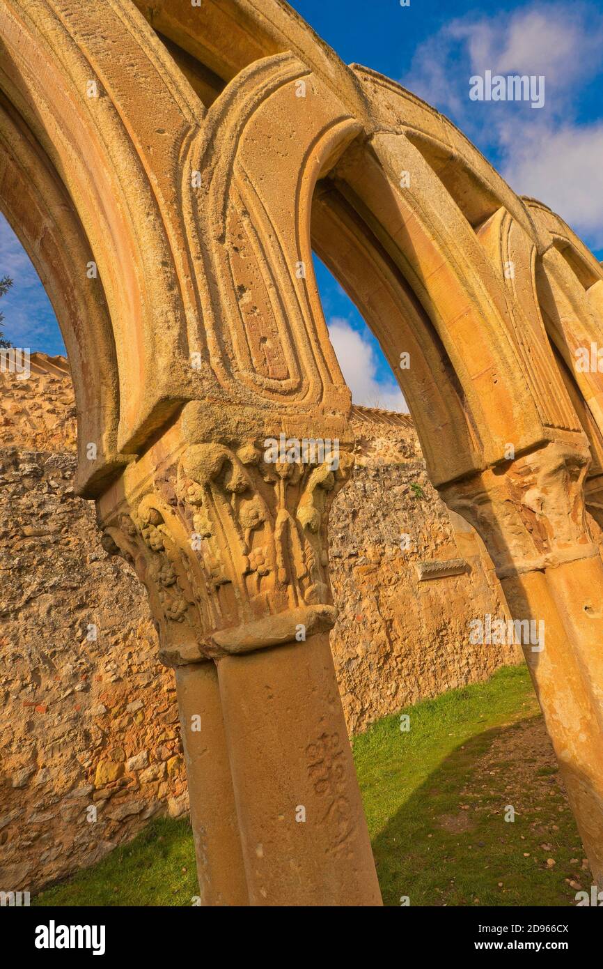 Capital Detail, Monastery of San Juan de Duero, Cloister, 12th century, Romanesque Style, National Monument, Spanish Property of Cultural Interest, Stock Photo