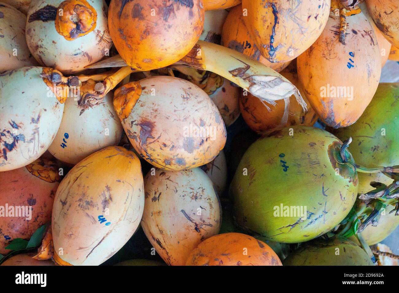Coconuts, Fruit Market, Male, North Male Atoll, Maldives, Indian Ocean