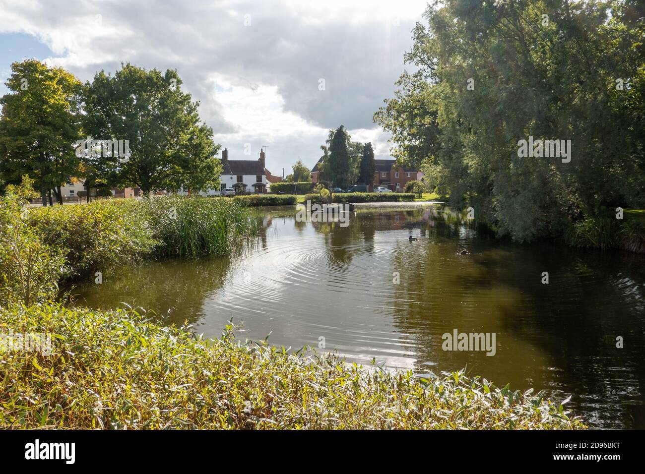View across Village Pond, Hanley Swan, Worcestershire, UK Stock Photo
