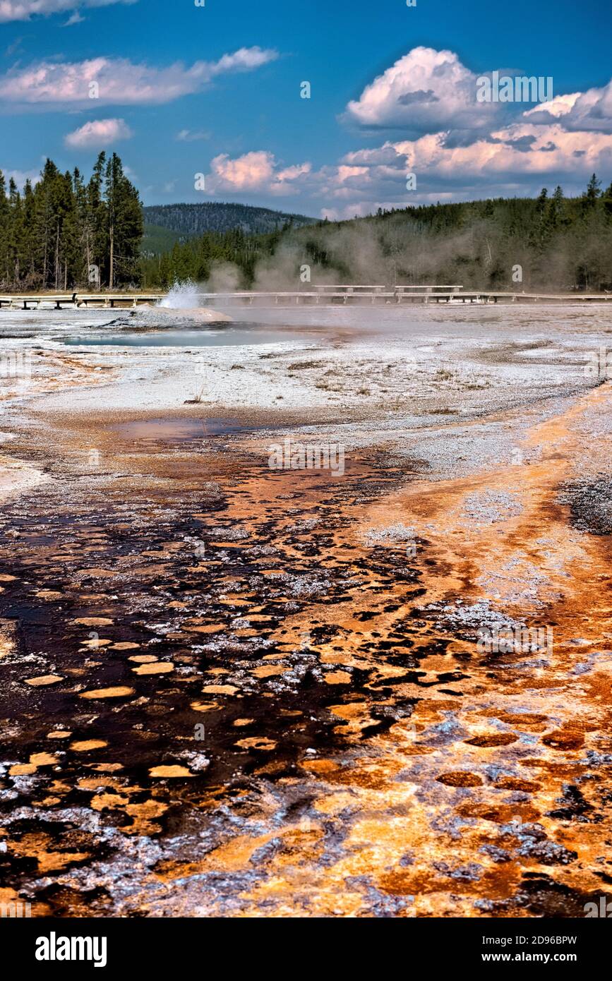 Bacterial mats, Upper Geyser Basin, Yellowstone National Park, Wyoming, USA. Stock Photo