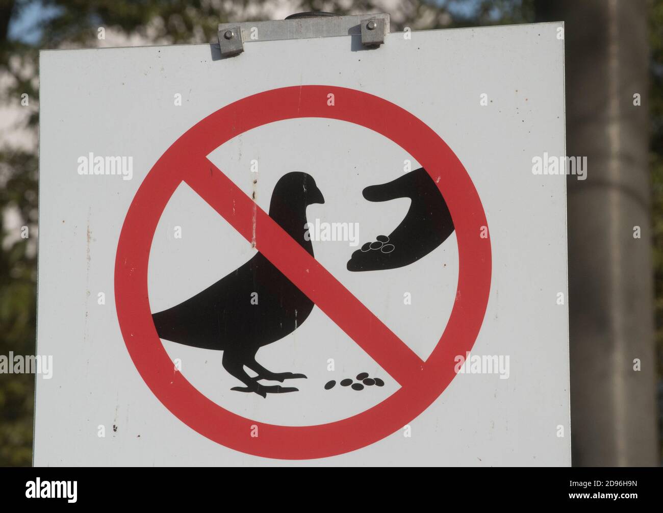 pigeon or dove feeding prohibited sign, ban on feeding animals Stock