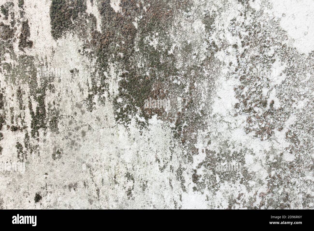 Concrete stone texture close up hi-res stock photography and images - Alamy