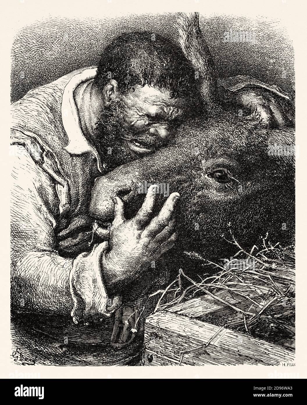 Sancho panza cries to his donkey. Don Quixote by Miguel de Cervantes Saavedra. Old XIX century engraving illustration by Gustave Dore Stock Photo