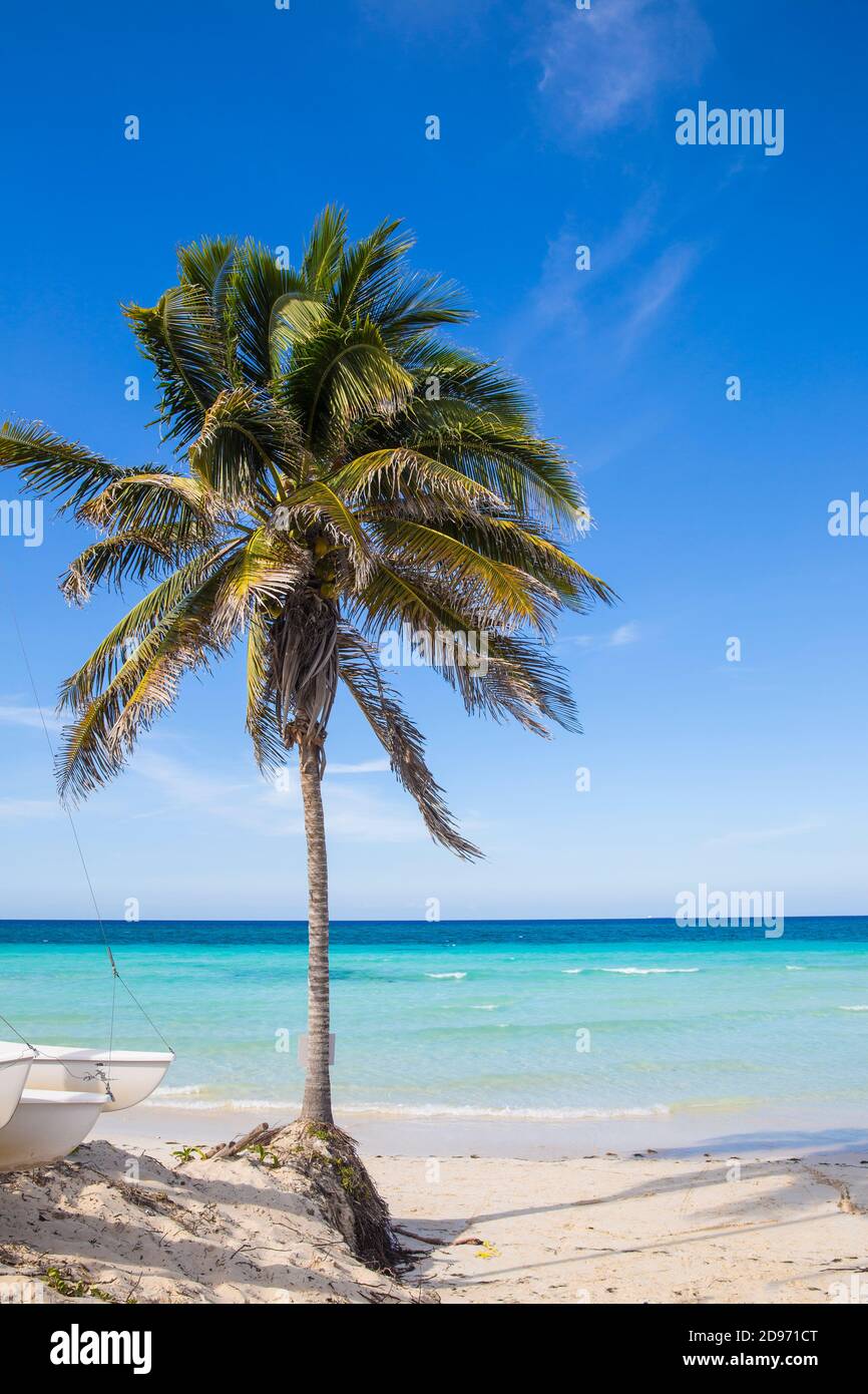 Cuba, Jardines del Rey, Cayo Coco, Playa Larga Stock Photo