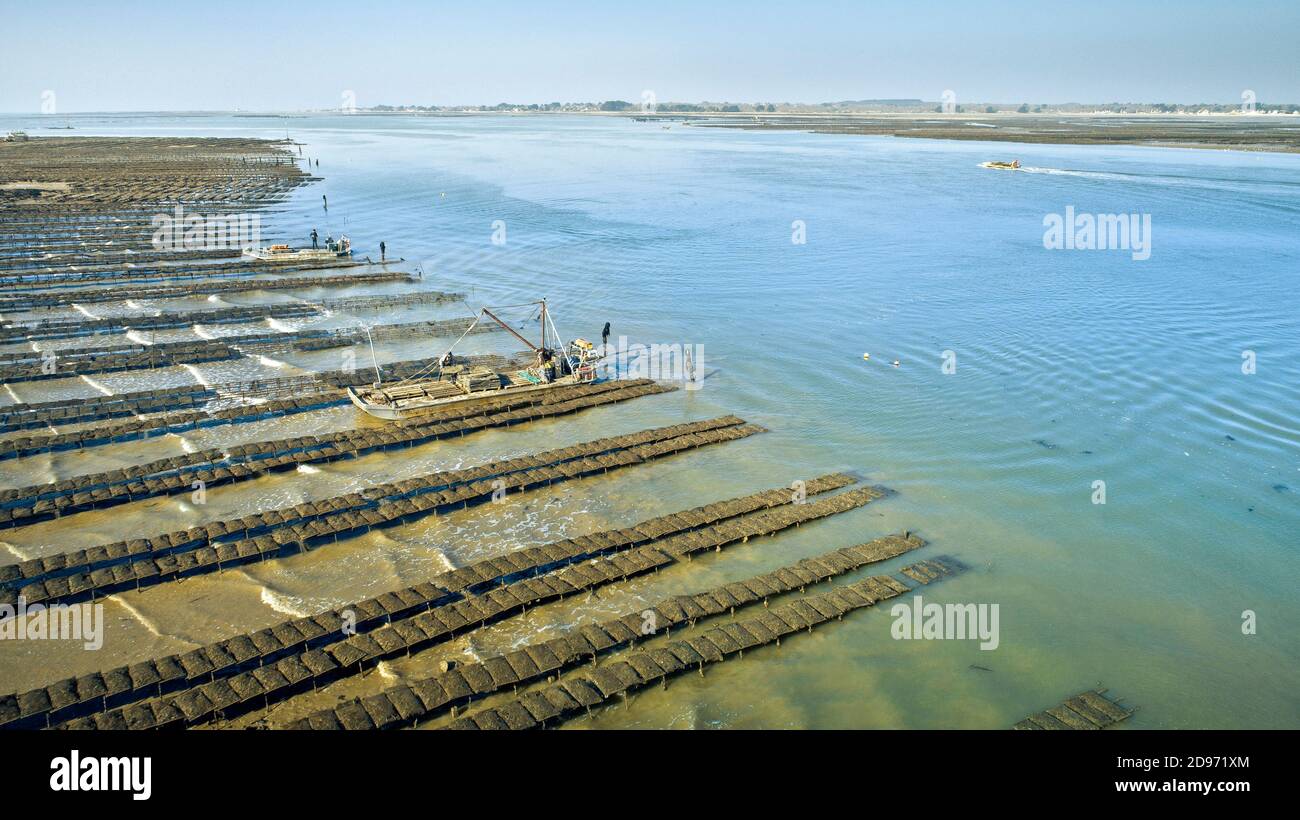 Damgan (Brittany, northwestern France) aerial view of oyster beds
