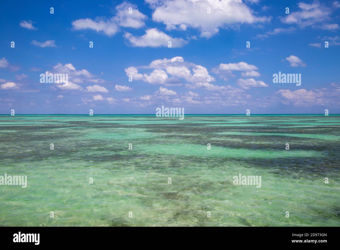 Cuba, Ciego de Avila Province, Jardines del Rey, Cayo Guillermo Stock Photo