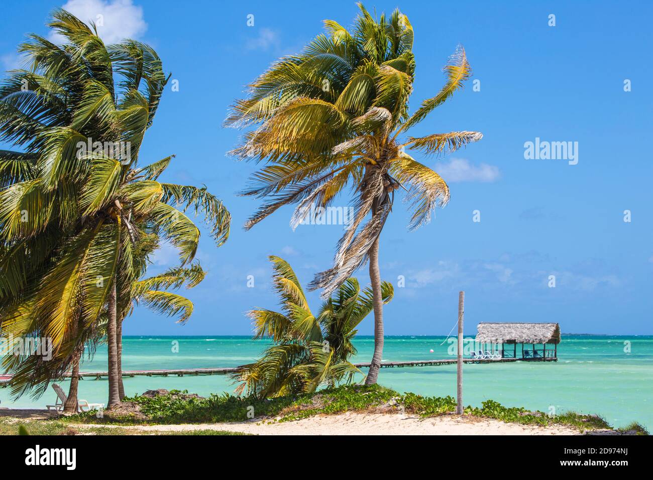 Cuba, Ciego de Avila Province, Jardines del Rey, Cayo Guillermo, Playa El Paso, Wooden  jetty Stock Photo
