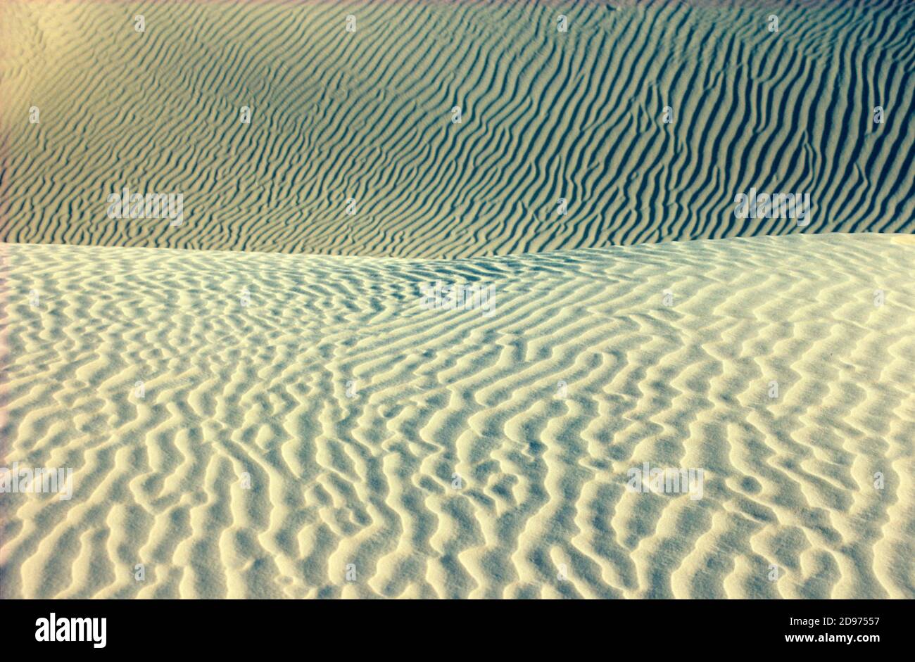 Sand dunes in the Algerian Sahara. Africa Stock Photo