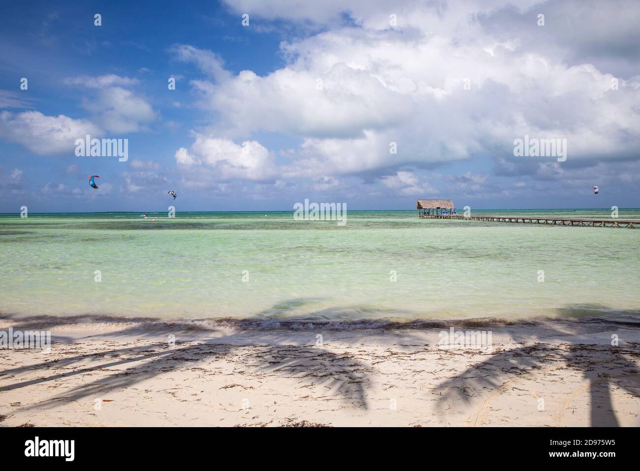 Cuba, Jardines del Rey, Cayo Guillermo, Playa El Paso, Shadow of palm trees on beach Stock Photo