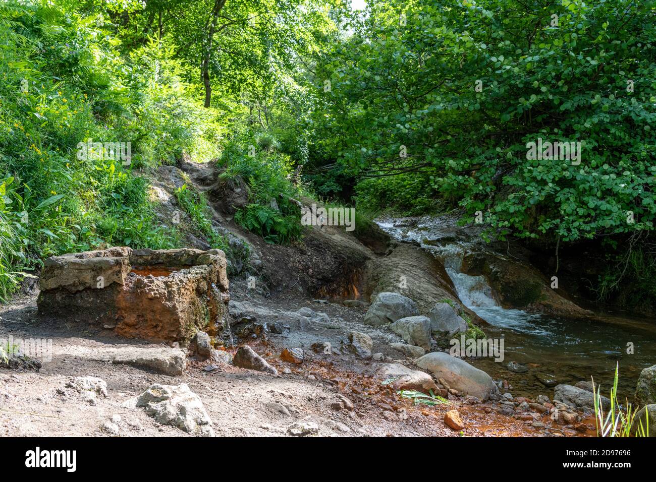 The Sainte Anne spring, natural gaseous spring of the Chaudefour valley, summer, Auvergne, France Stock Photo