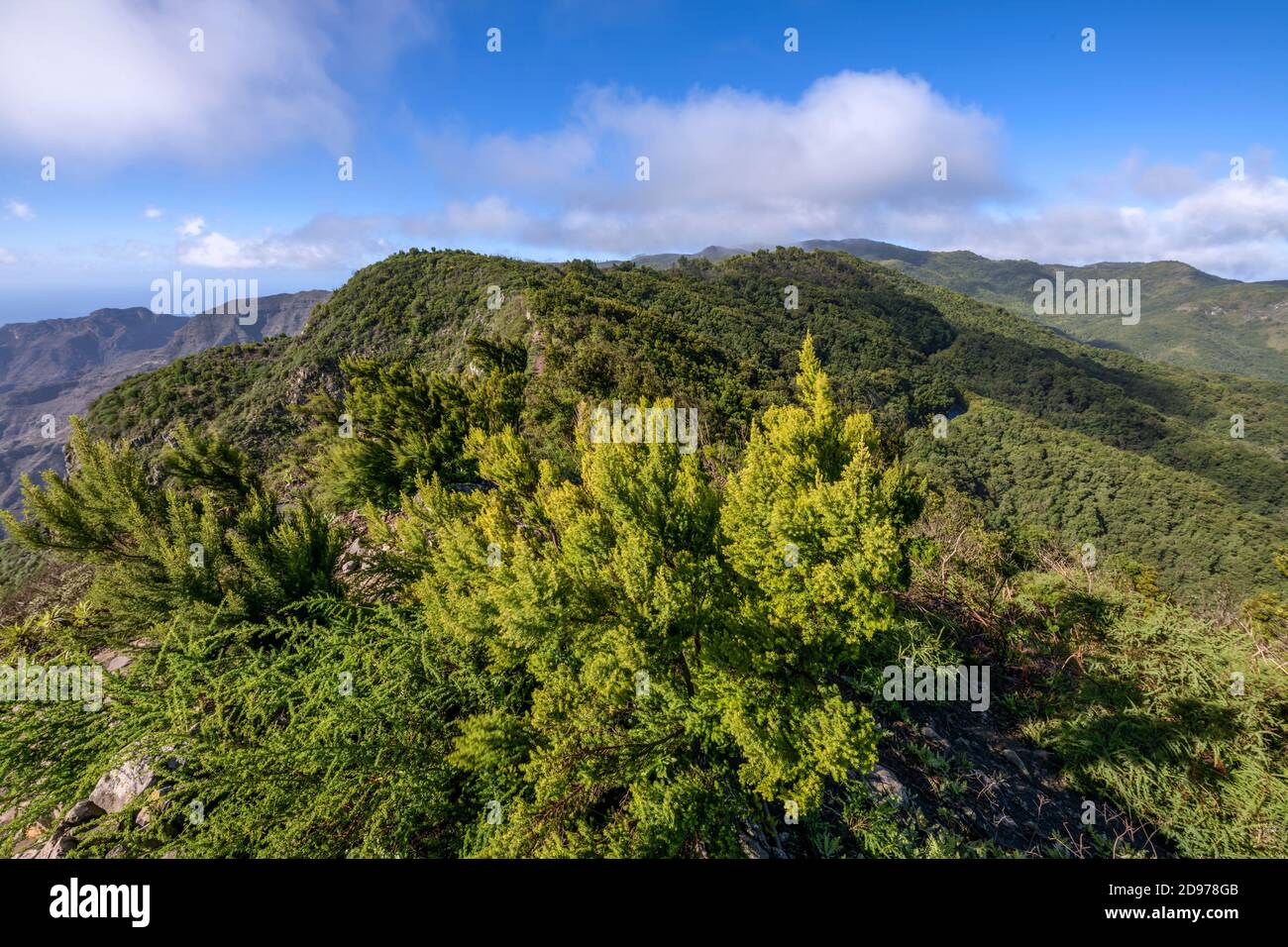 Windy and humid ridges swept by the trade winds overlooking the laurel forest of La Gomera Island, Garajonay National Park, Canary Islands Stock Photo