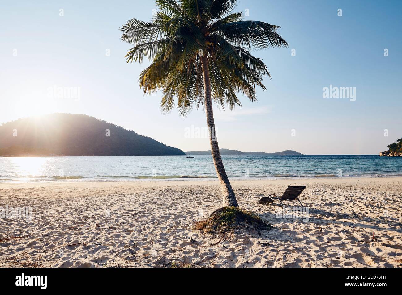 Beautiful beach tropical palm hi-res stock photography and images - Alamy