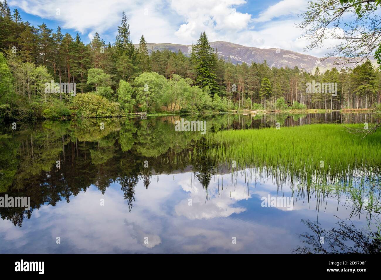 Glencoe Lochan and woodland reflections in summer. Created by Lord Strathcona for Canadian wife Isabella. Glencoe, Highland, Scotland, UK Stock Photo
