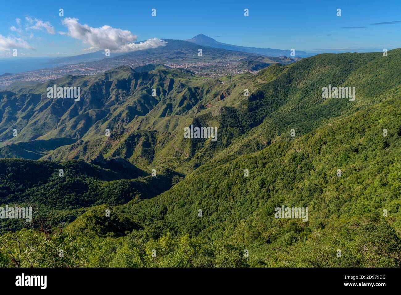 Landscape of the Anaga peninsula, on the island of Tenerife in the Canaries. on the horizon, the Teide volcano - The high slopes of the ravines are co Stock Photo