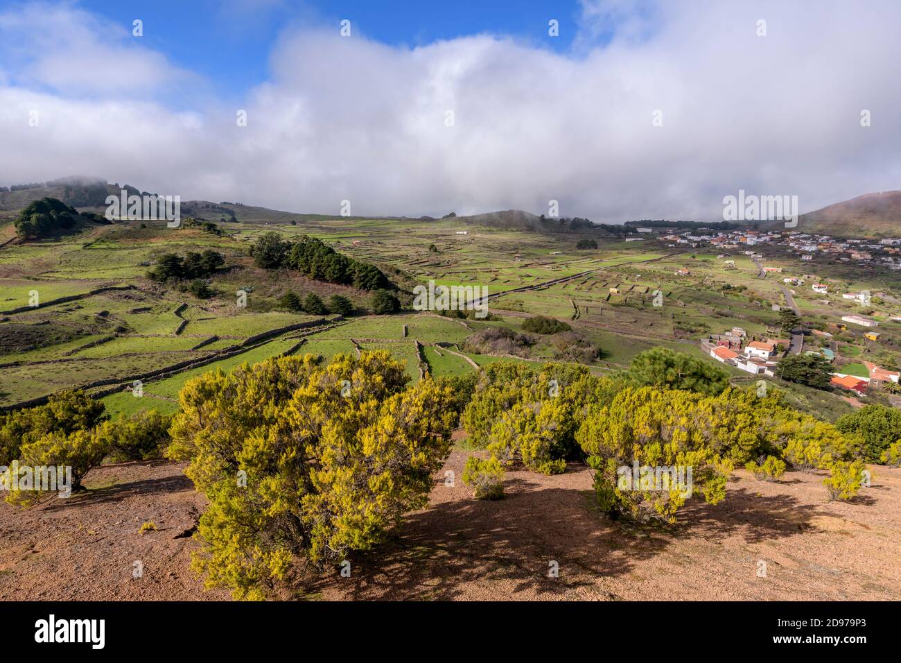 Agricultural landscape and clouds on the island of El Hierro in the Canaries. San Andres region - in the foreground of junipers Stock Photo