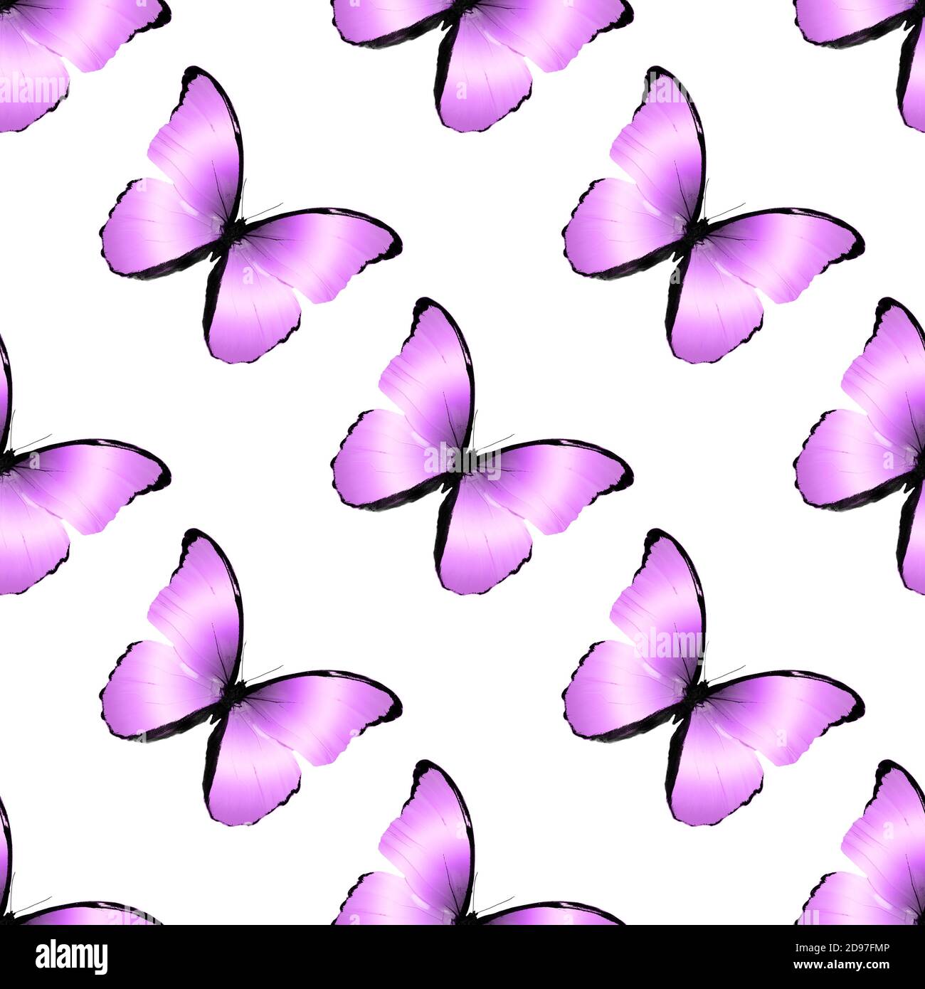seamless pattern of colored butterflies isolated on white background ...