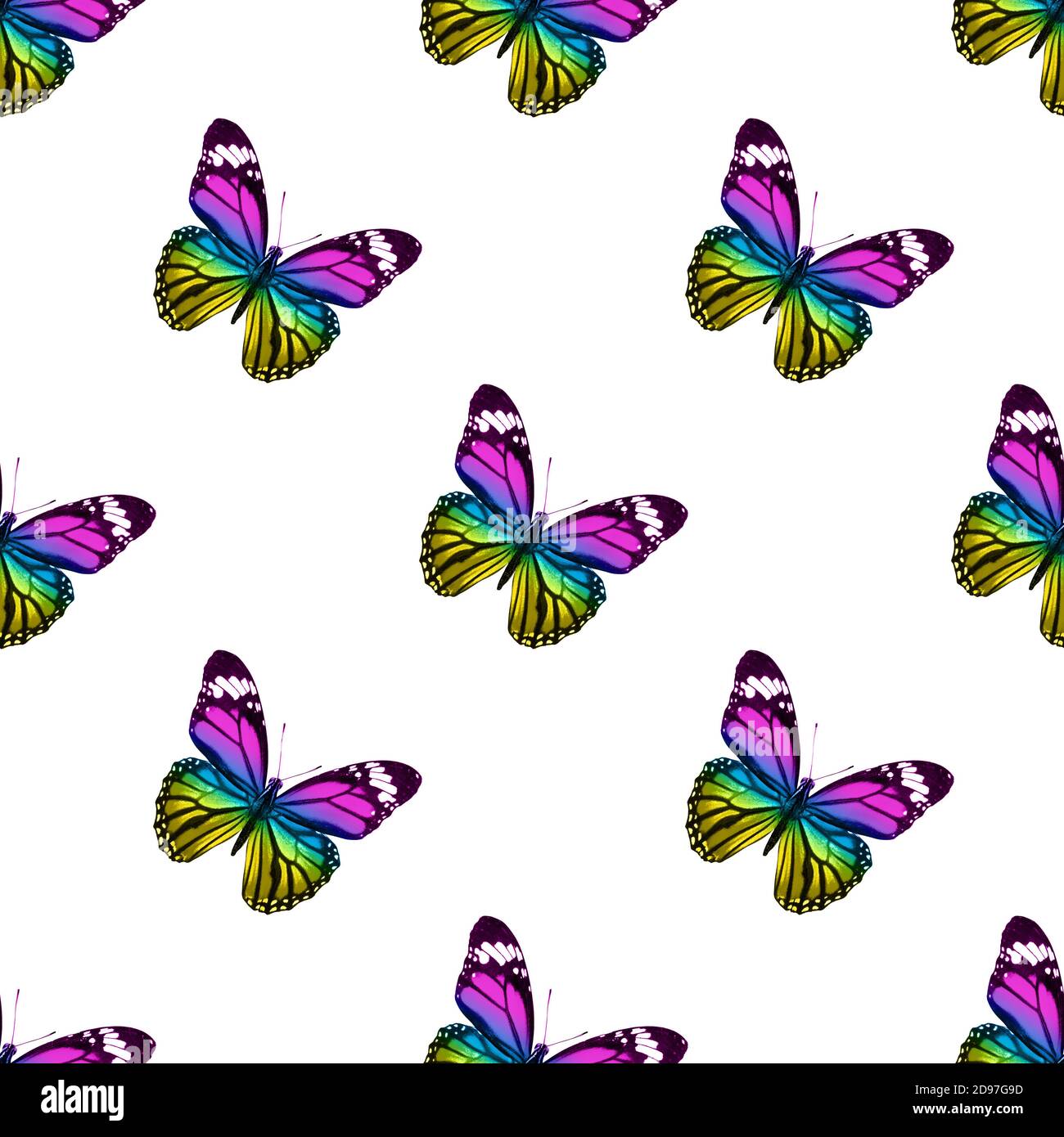 seamless pattern of colored butterflies isolated on white background ...