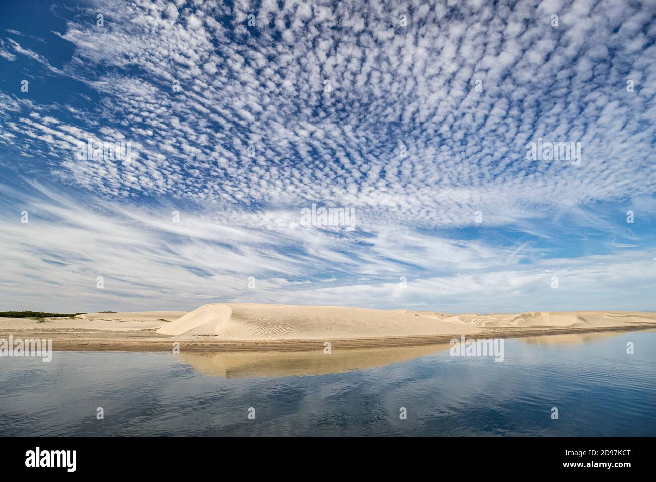 Sand Dunes, Magdalena Bay, Puerto San Carlos, Baja California, Mexico. Stock Photo