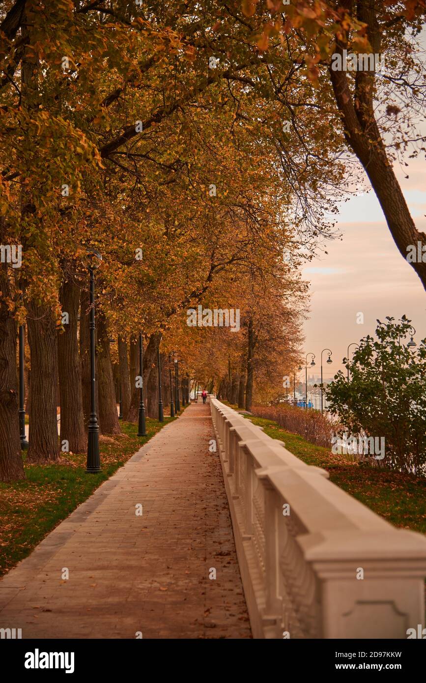 An alley strewn with leaves in a Park Stock Photo - Alamy