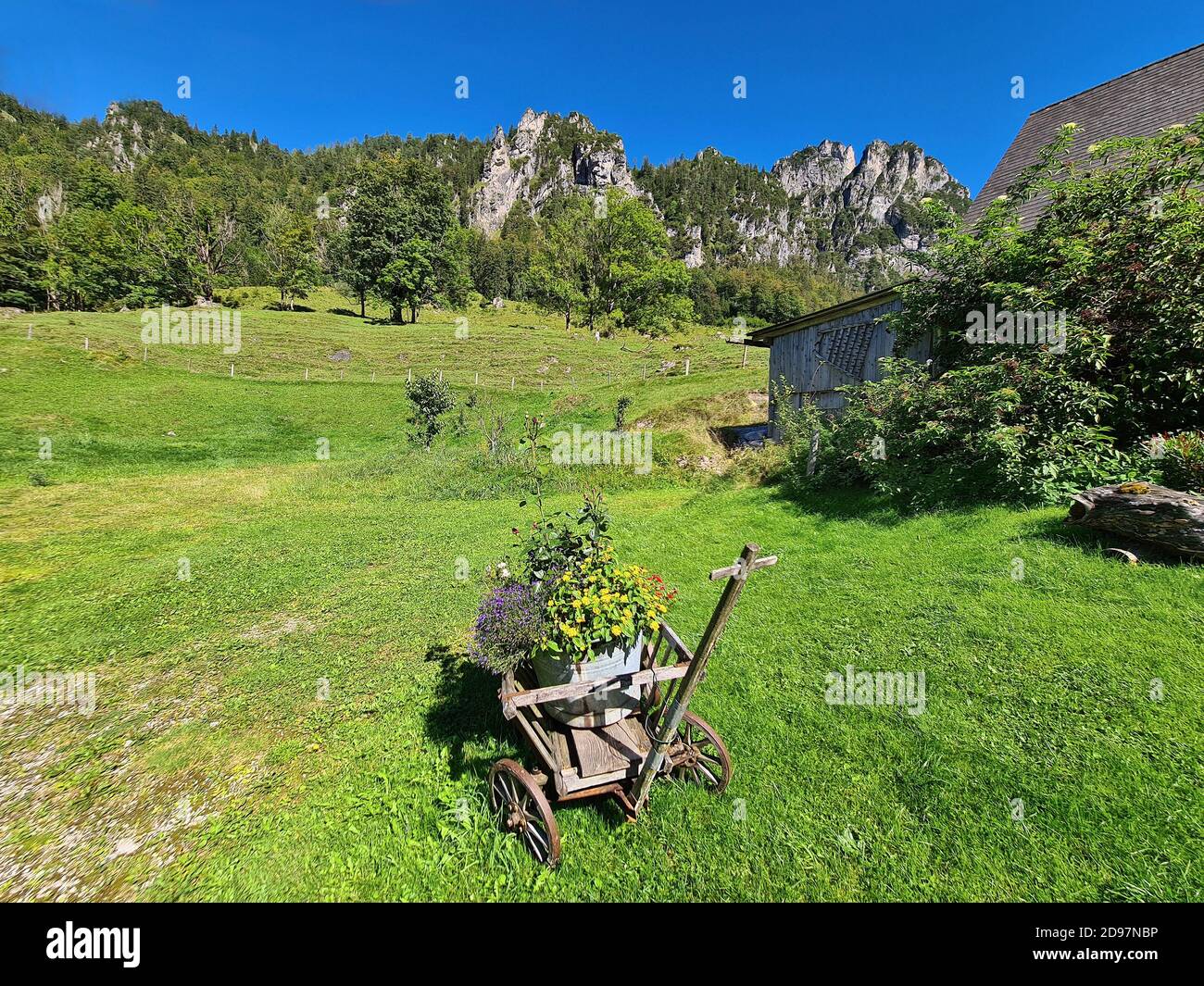 Austria, wheelbarrow decorated with flowers and landscape at the Hengstpass in the Kalkalpen National Park in Upper Austria in the Pyhrn-Priel holiday Stock Photo