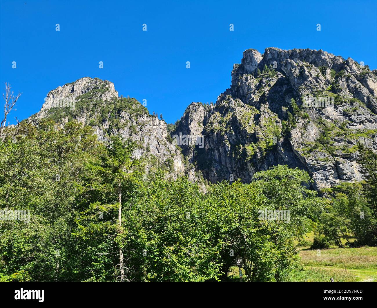 Austria, landscape in the Kalkalpen national park near the Haller Mauern range in Upper Austria in the Pyhrn-Priel holiday region Stock Photo