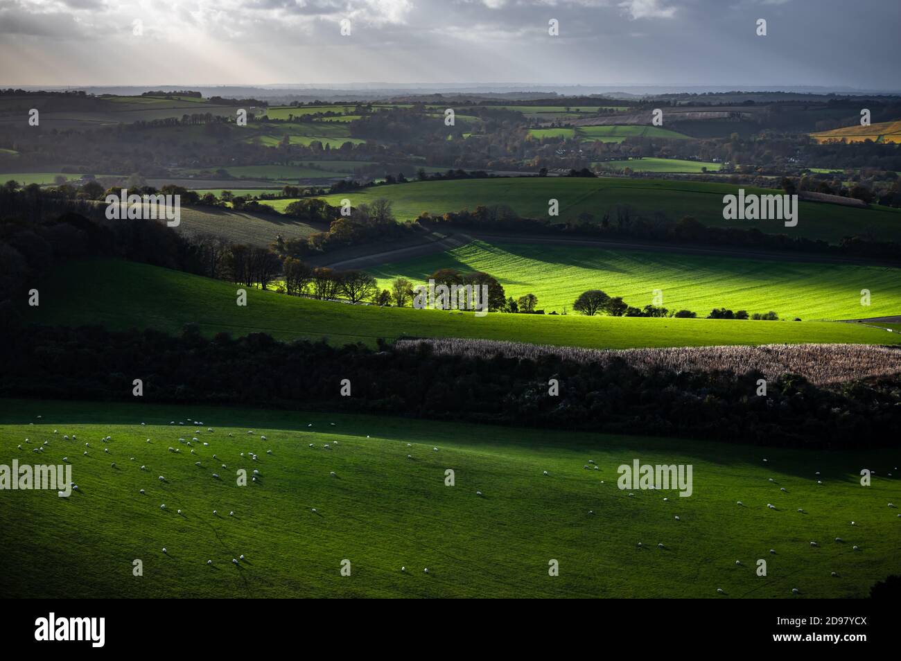 Dramatic autumn sunlight falls across the rolling Hampshire countryside, typical of the South Downs national park in England.  View from Old WIncheste Stock Photo