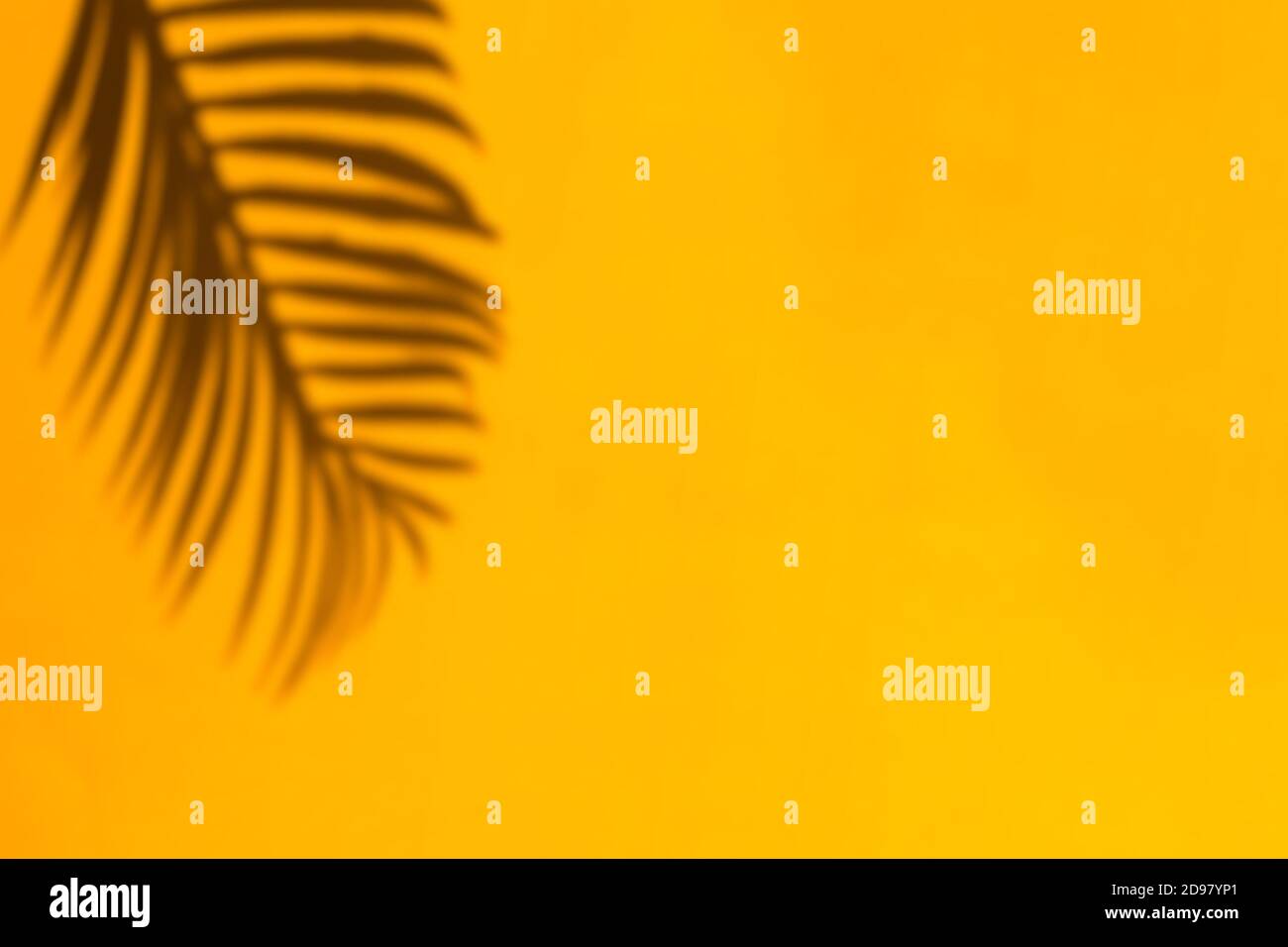 Tropic palm leaf shadow on the bright yellow wall background. Stock Photo