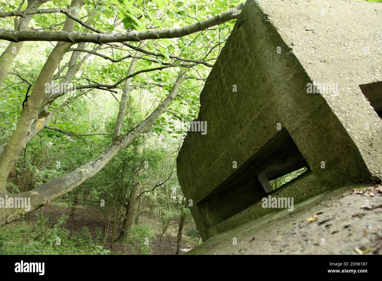 The ruined remains of the World War 1 Sunk Island defensive gun battery