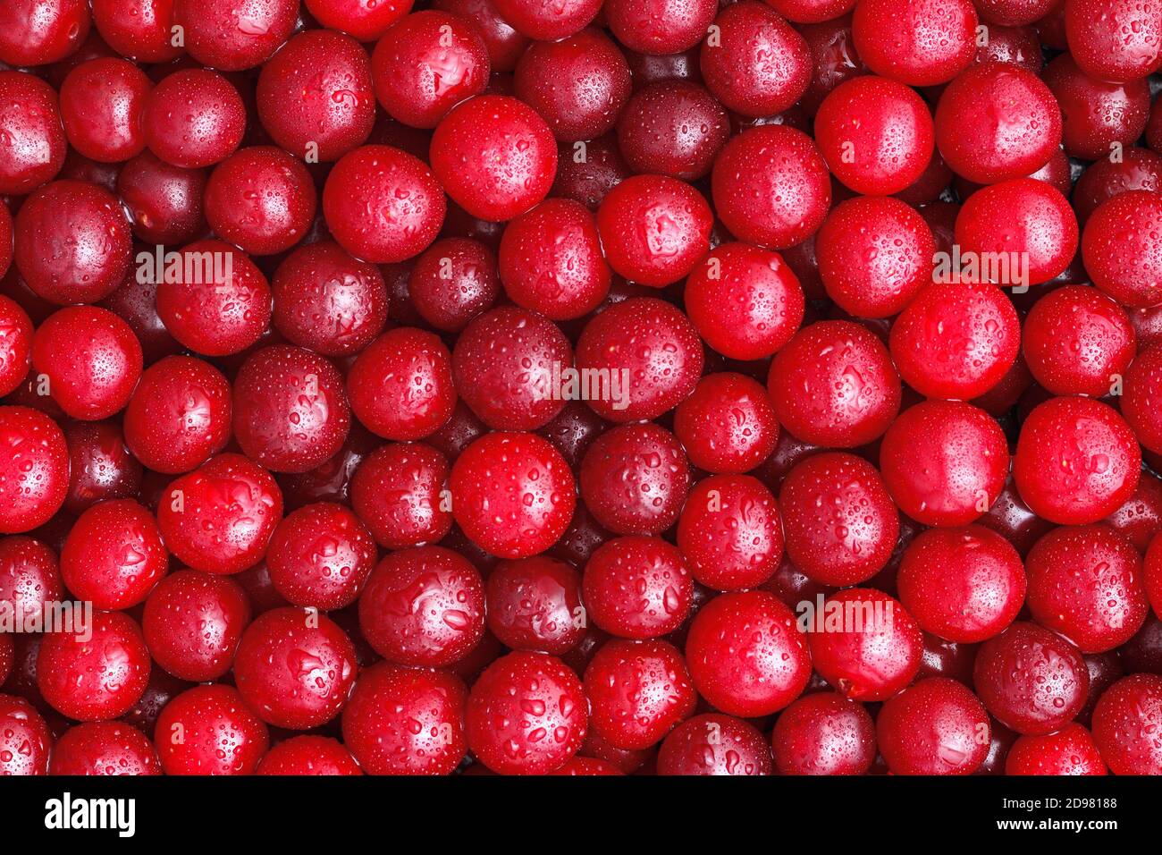 Food background. Top view of red cherries with water drops. Natural condition. Stock Photo