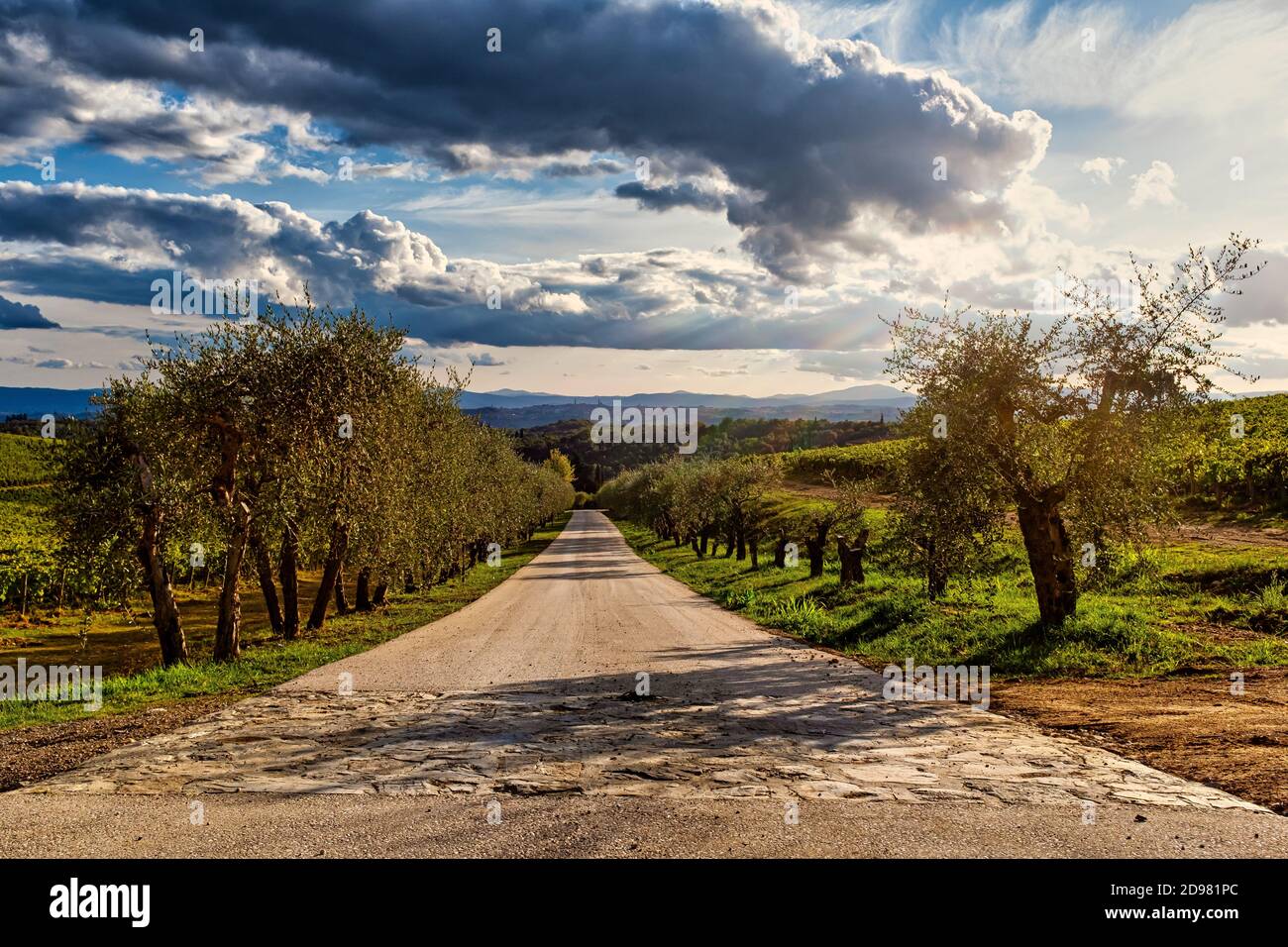 Rural road in Tuscany Italy with picturesque sky and clouds in background. Vanishing point. Stock Photo