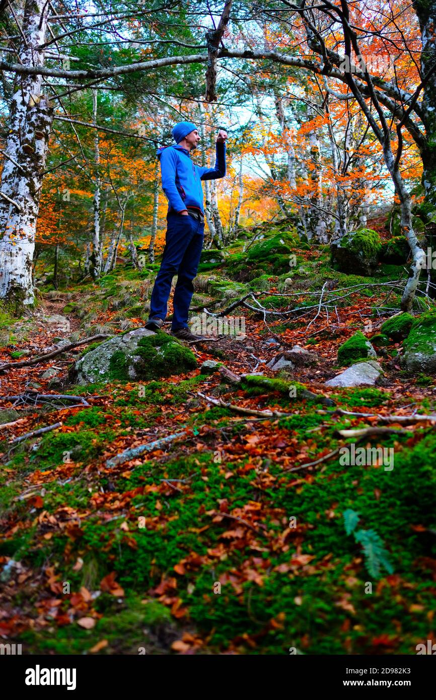A tall male hiker, pauses to gesture to other hikers in a beautiful forest during a colourful autumn afternoon in the cevennes, france Stock Photo