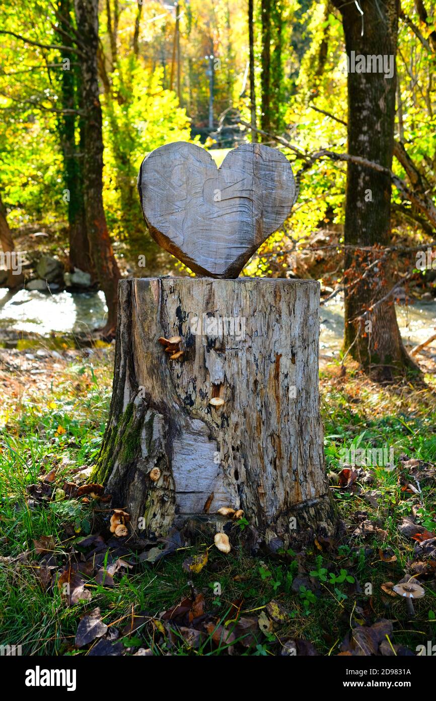 a hand carved heart cut from the trunk of a felled tree in a sunny forest, Cevennes mountains, France Stock Photo