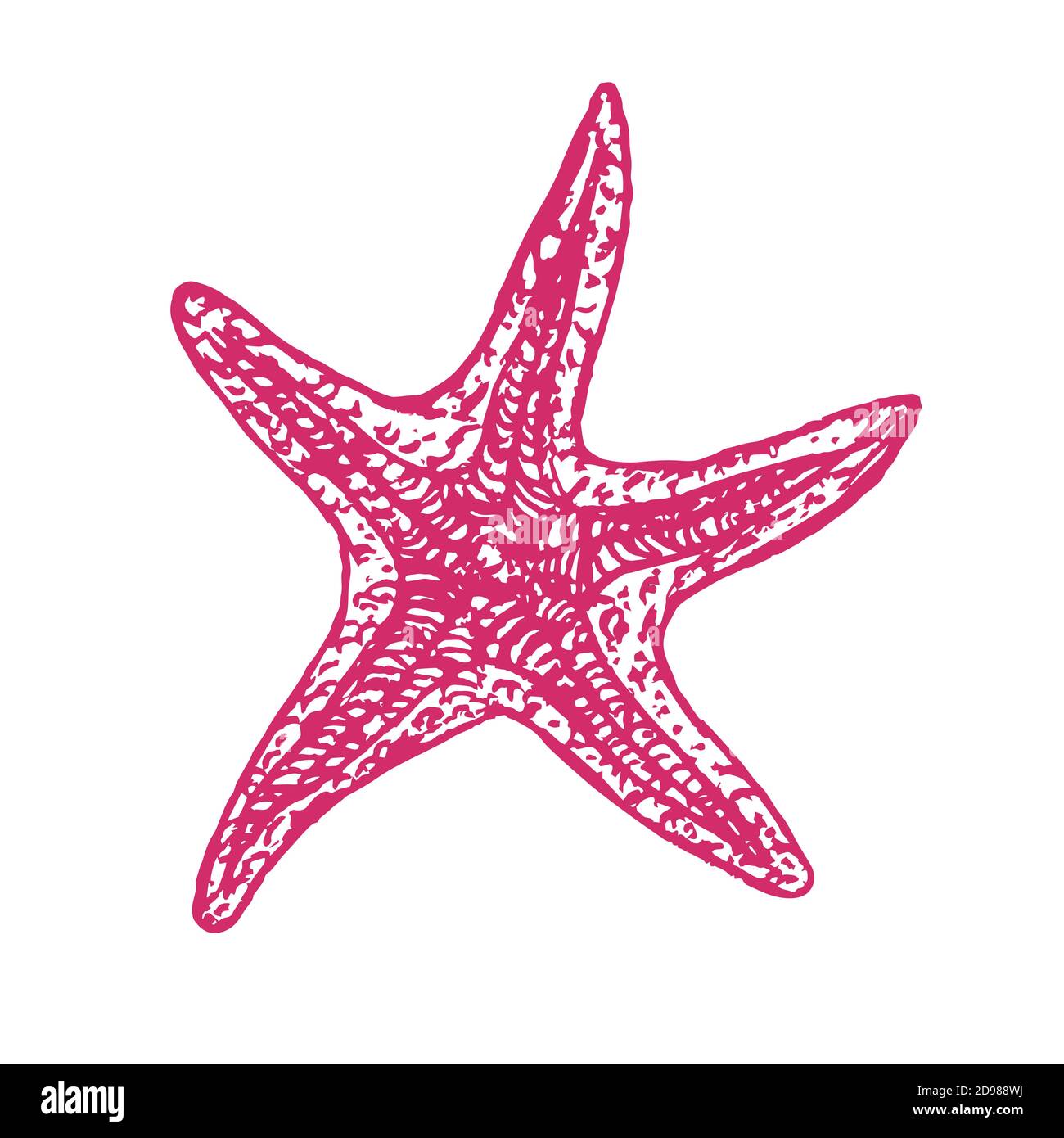 My Image 23