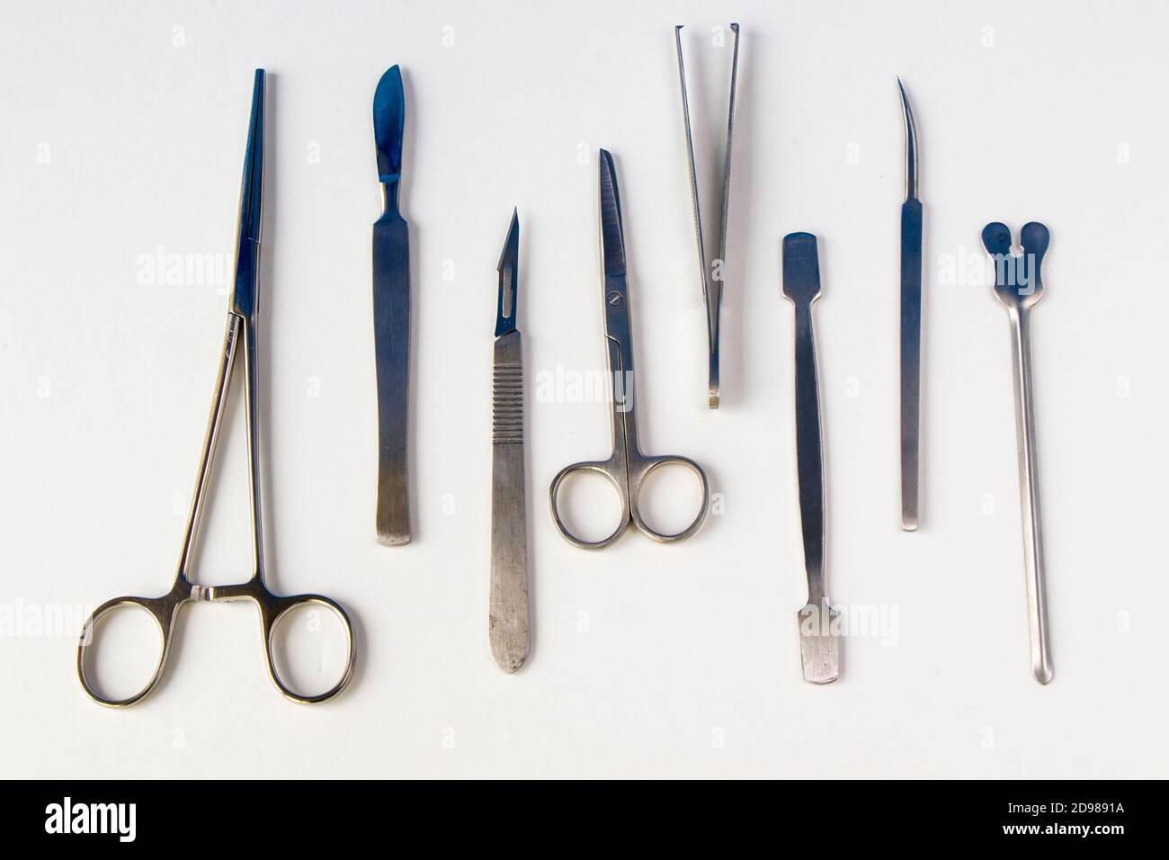 Dissection Kit Stainless Steel Tools for Medical Students of Anatomy